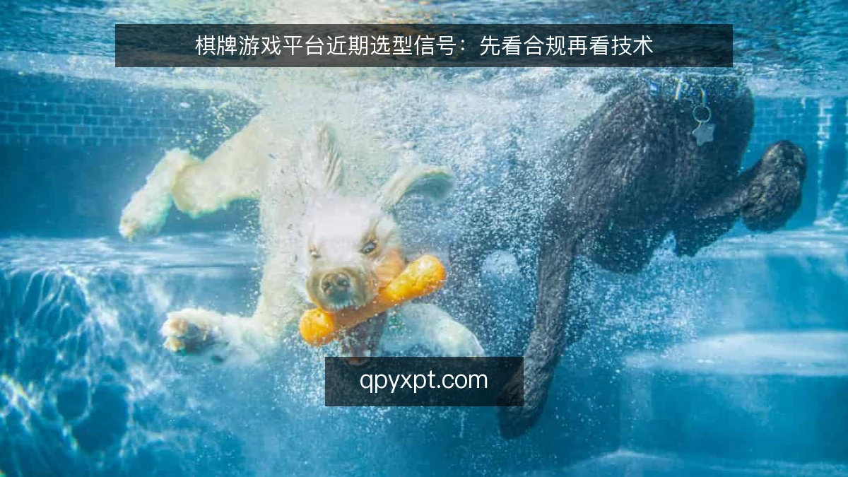 棋牌游戏平台近期选型信号:先看合规再看技术